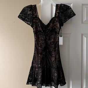 NWT ASTR the label “So Smitten” sold out black lace over nude mini dress in xs